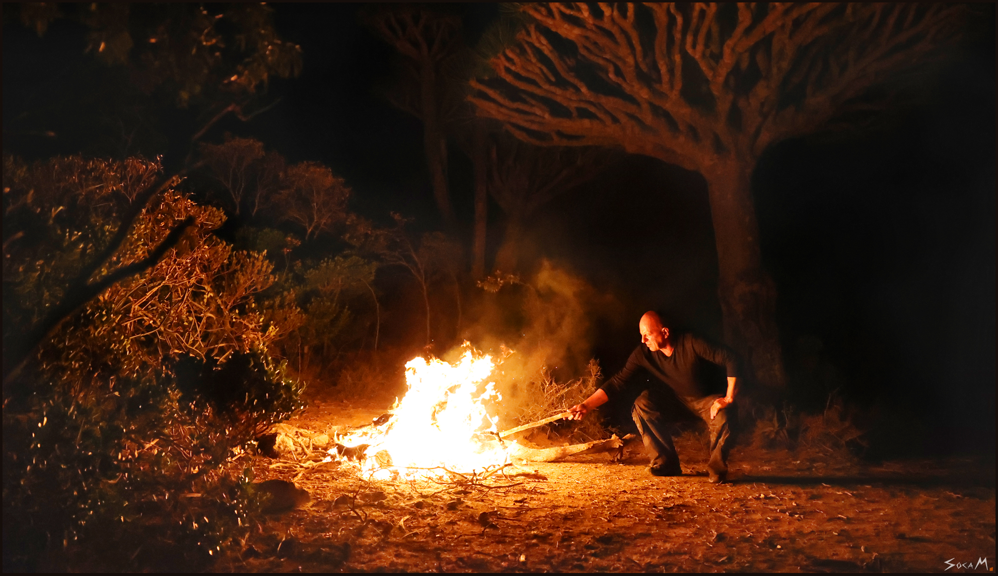 Marc Vorsatz &middot; Sokotra &middot; Jemen